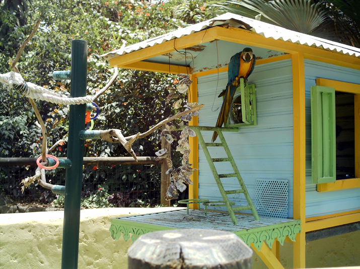 21a - Jardin Tropical 042.jpg